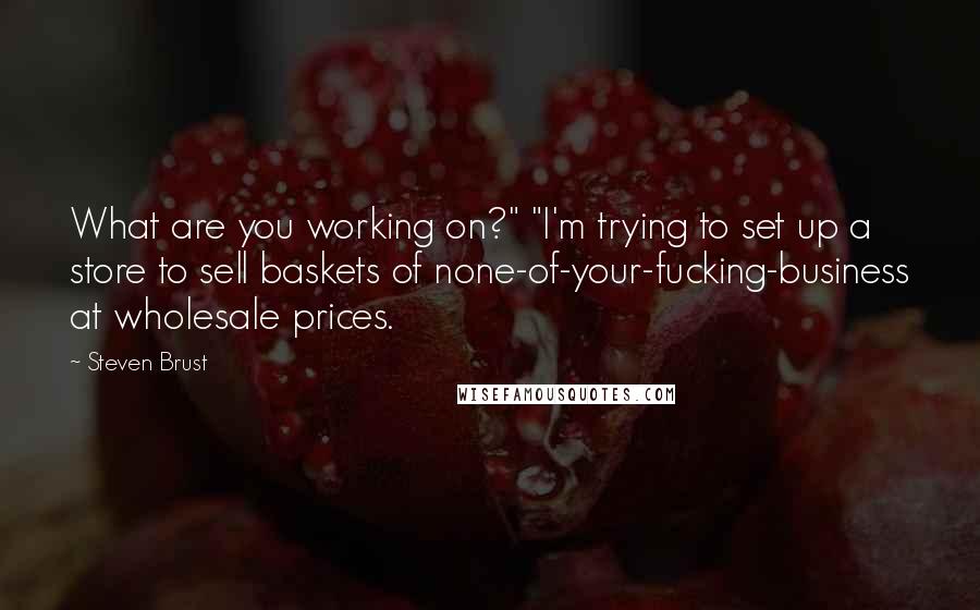 Steven Brust Quotes: What are you working on?" "I'm trying to set up a store to sell baskets of none-of-your-fucking-business at wholesale prices.