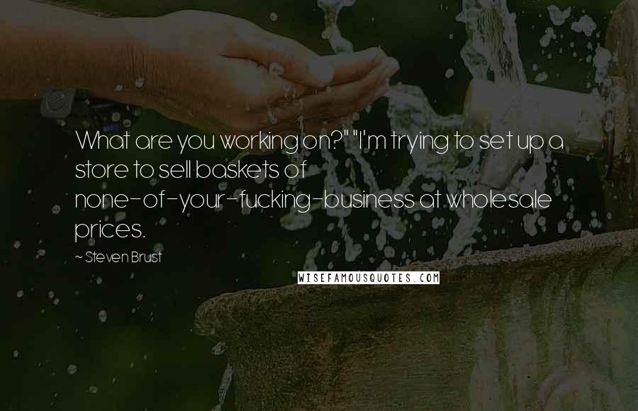 Steven Brust Quotes: What are you working on?" "I'm trying to set up a store to sell baskets of none-of-your-fucking-business at wholesale prices.