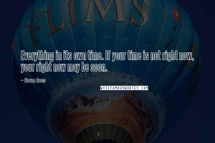 Steven Cuoco Quotes: Everything in its own time. If your time is not right now, your right now may be soon.