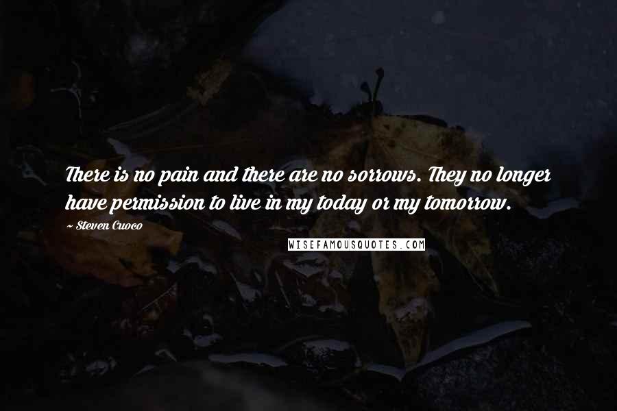 Steven Cuoco Quotes: There is no pain and there are no sorrows. They no longer have permission to live in my today or my tomorrow.