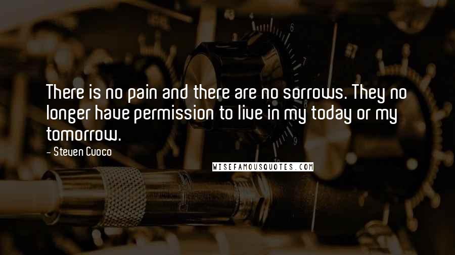 Steven Cuoco Quotes: There is no pain and there are no sorrows. They no longer have permission to live in my today or my tomorrow.