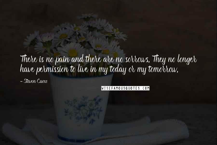 Steven Cuoco Quotes: There is no pain and there are no sorrows. They no longer have permission to live in my today or my tomorrow.