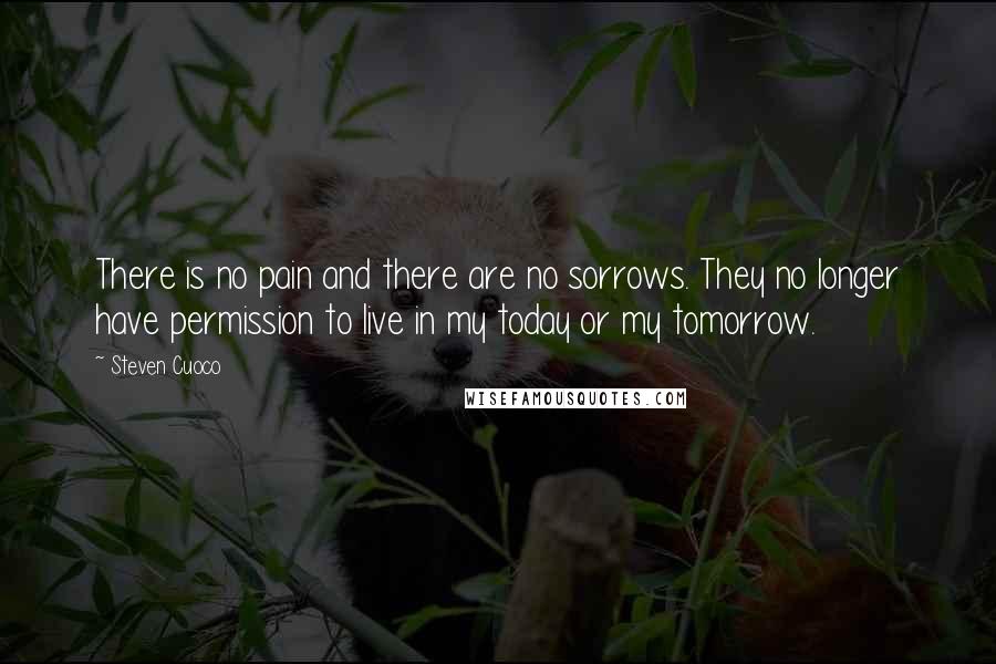 Steven Cuoco Quotes: There is no pain and there are no sorrows. They no longer have permission to live in my today or my tomorrow.