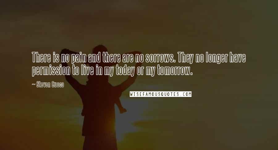 Steven Cuoco Quotes: There is no pain and there are no sorrows. They no longer have permission to live in my today or my tomorrow.