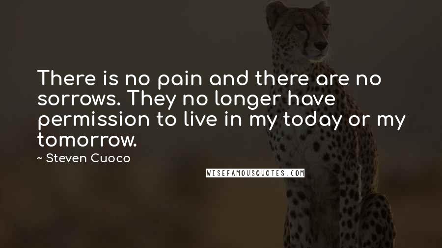 Steven Cuoco Quotes: There is no pain and there are no sorrows. They no longer have permission to live in my today or my tomorrow.