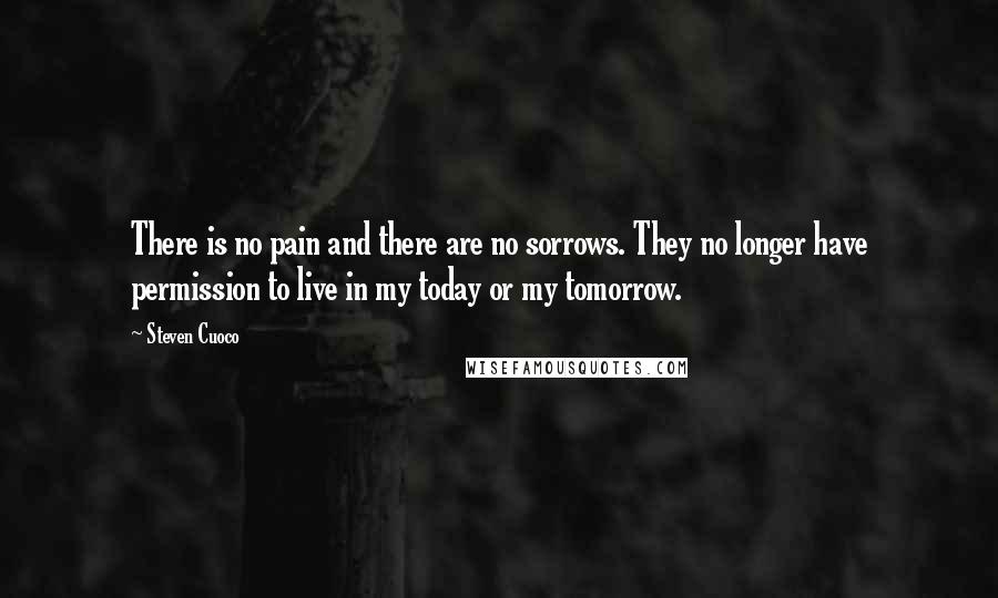 Steven Cuoco Quotes: There is no pain and there are no sorrows. They no longer have permission to live in my today or my tomorrow.