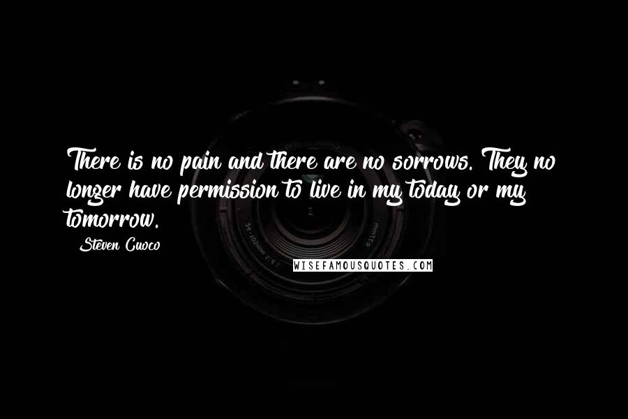 Steven Cuoco Quotes: There is no pain and there are no sorrows. They no longer have permission to live in my today or my tomorrow.