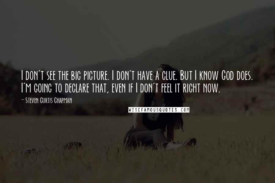 Steven Curtis Chapman Quotes: I don't see the big picture. I don't have a clue. But I know God does. I'm going to declare that, even if I don't feel it right now.
