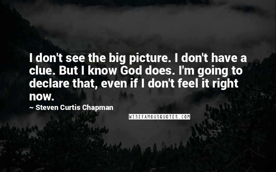 Steven Curtis Chapman Quotes: I don't see the big picture. I don't have a clue. But I know God does. I'm going to declare that, even if I don't feel it right now.