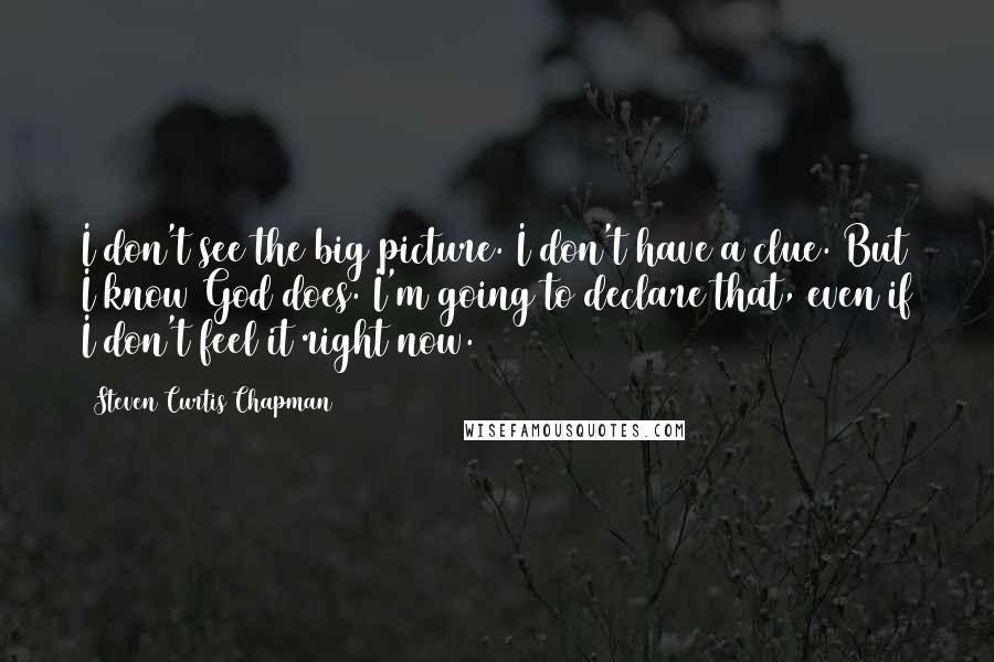 Steven Curtis Chapman Quotes: I don't see the big picture. I don't have a clue. But I know God does. I'm going to declare that, even if I don't feel it right now.