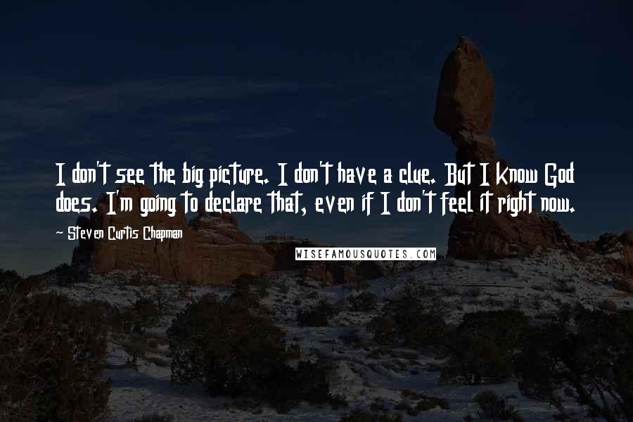 Steven Curtis Chapman Quotes: I don't see the big picture. I don't have a clue. But I know God does. I'm going to declare that, even if I don't feel it right now.