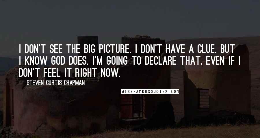 Steven Curtis Chapman Quotes: I don't see the big picture. I don't have a clue. But I know God does. I'm going to declare that, even if I don't feel it right now.