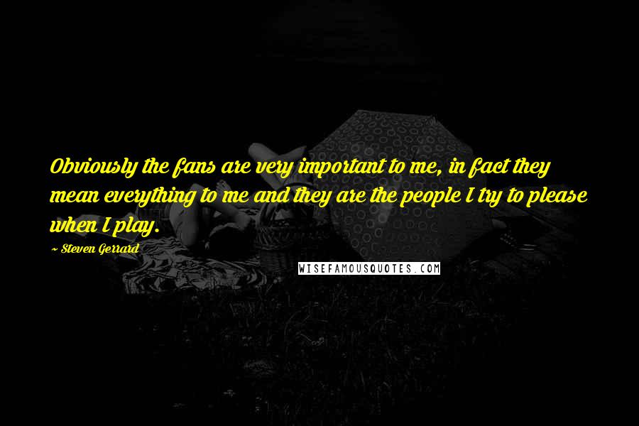Steven Gerrard Quotes: Obviously the fans are very important to me, in fact they mean everything to me and they are the people I try to please when I play.