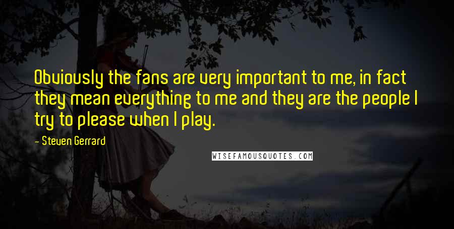 Steven Gerrard Quotes: Obviously the fans are very important to me, in fact they mean everything to me and they are the people I try to please when I play.