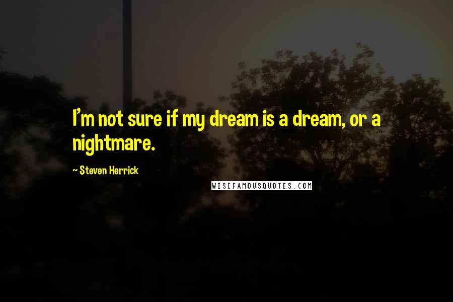 Steven Herrick Quotes: I'm not sure if my dream is a dream, or a nightmare.