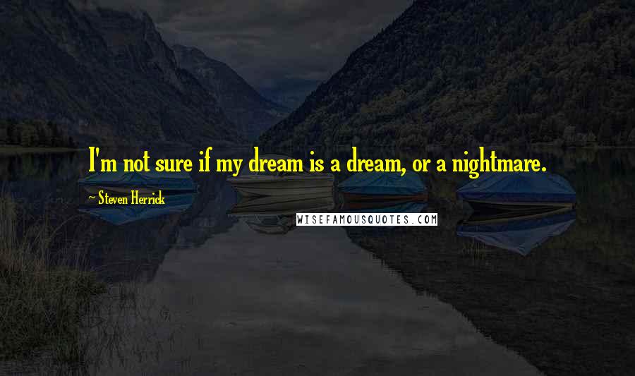 Steven Herrick Quotes: I'm not sure if my dream is a dream, or a nightmare.