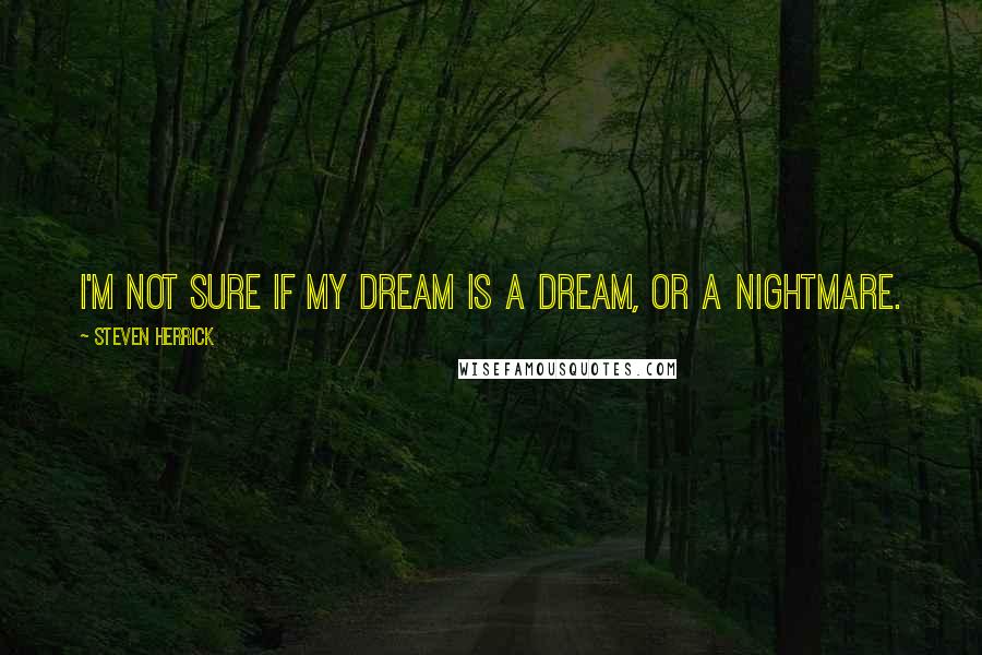 Steven Herrick Quotes: I'm not sure if my dream is a dream, or a nightmare.