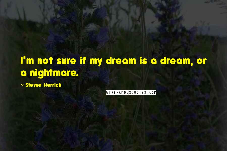 Steven Herrick Quotes: I'm not sure if my dream is a dream, or a nightmare.