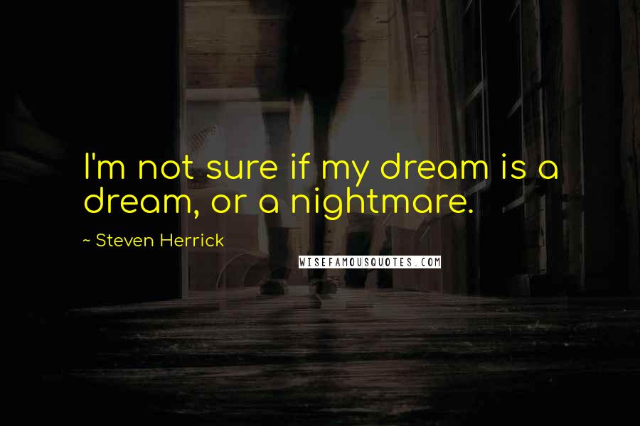 Steven Herrick Quotes: I'm not sure if my dream is a dream, or a nightmare.