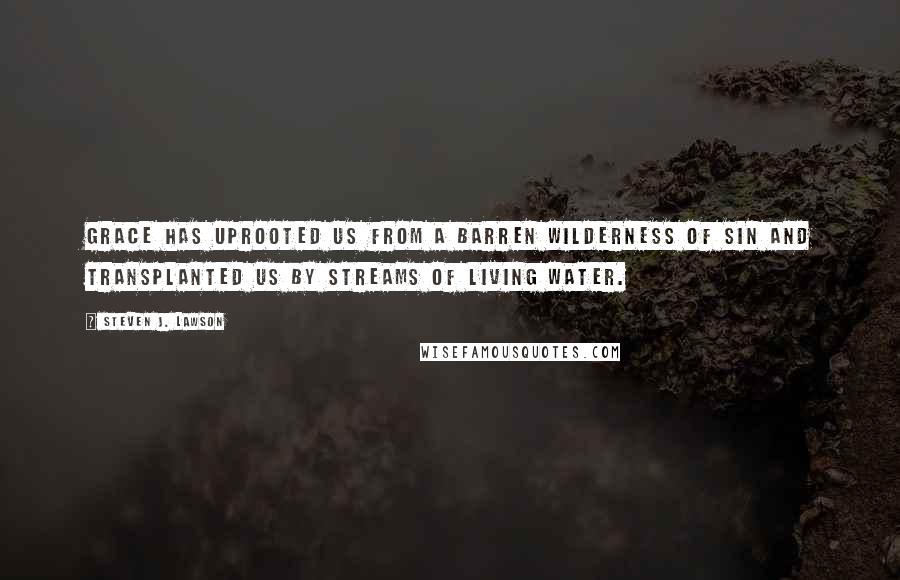 Steven J. Lawson Quotes: Grace has uprooted us from a barren wilderness of sin and transplanted us by streams of living water.