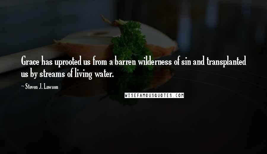 Steven J. Lawson Quotes: Grace has uprooted us from a barren wilderness of sin and transplanted us by streams of living water.