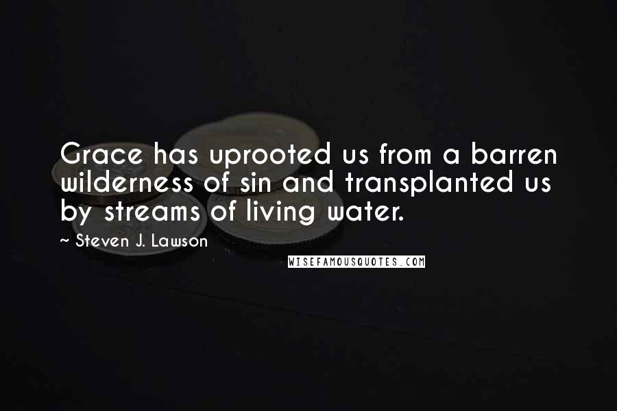 Steven J. Lawson Quotes: Grace has uprooted us from a barren wilderness of sin and transplanted us by streams of living water.