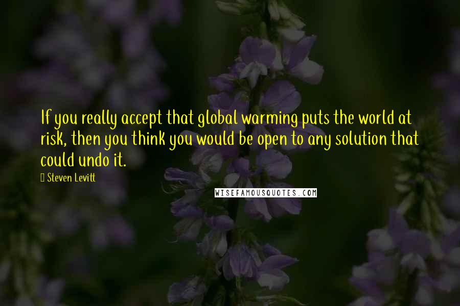 Steven Levitt Quotes: If you really accept that global warming puts the world at risk, then you think you would be open to any solution that could undo it.