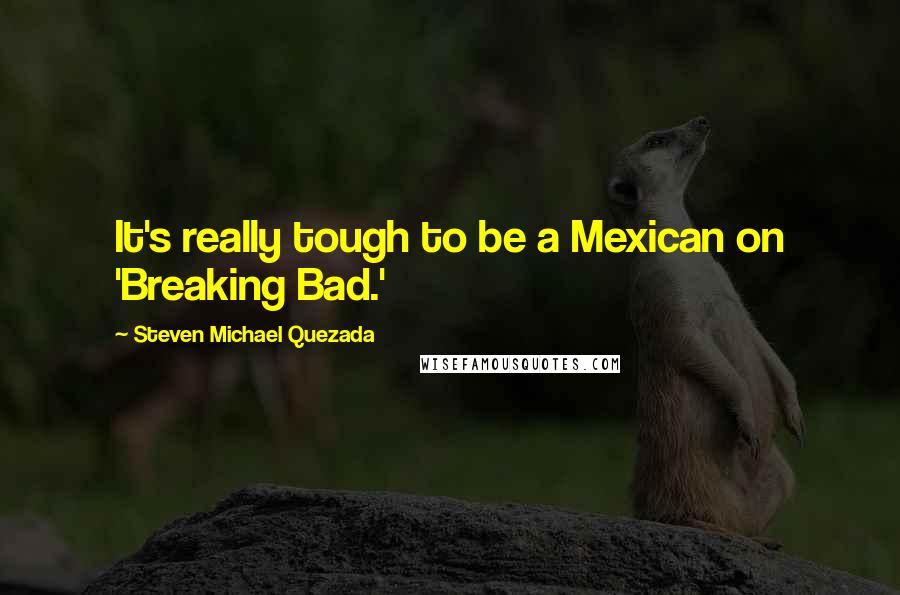 Steven Michael Quezada Quotes: It's really tough to be a Mexican on 'Breaking Bad.'