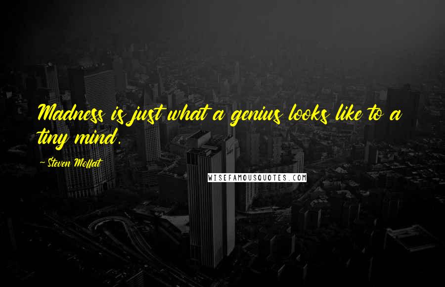 Steven Moffat Quotes: Madness is just what a genius looks like to a tiny mind.
