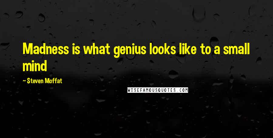 Steven Moffat Quotes: Madness is what genius looks like to a small mind