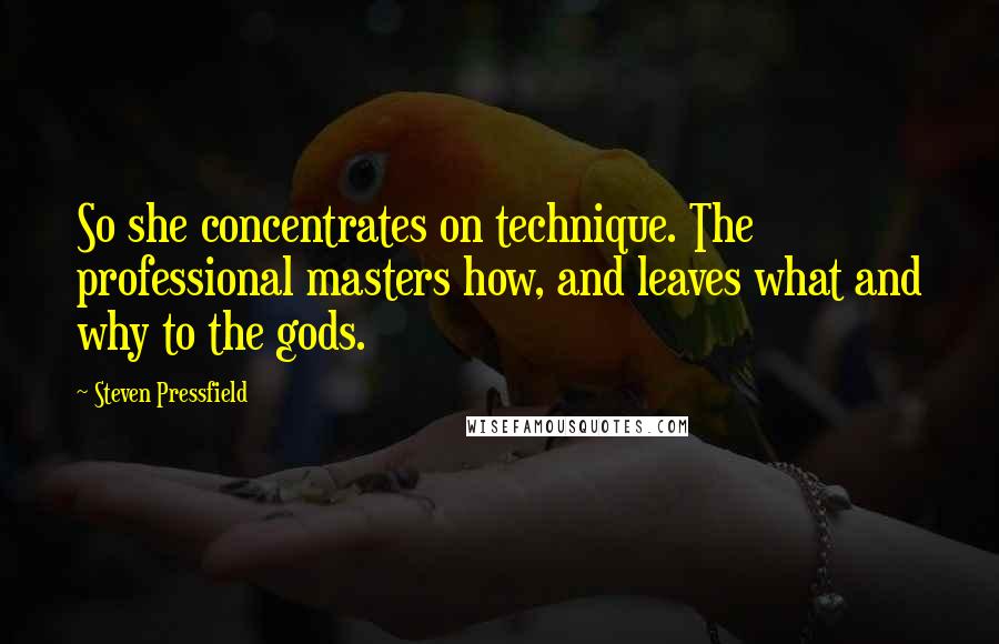 Steven Pressfield Quotes: So she concentrates on technique. The professional masters how, and leaves what and why to the gods.