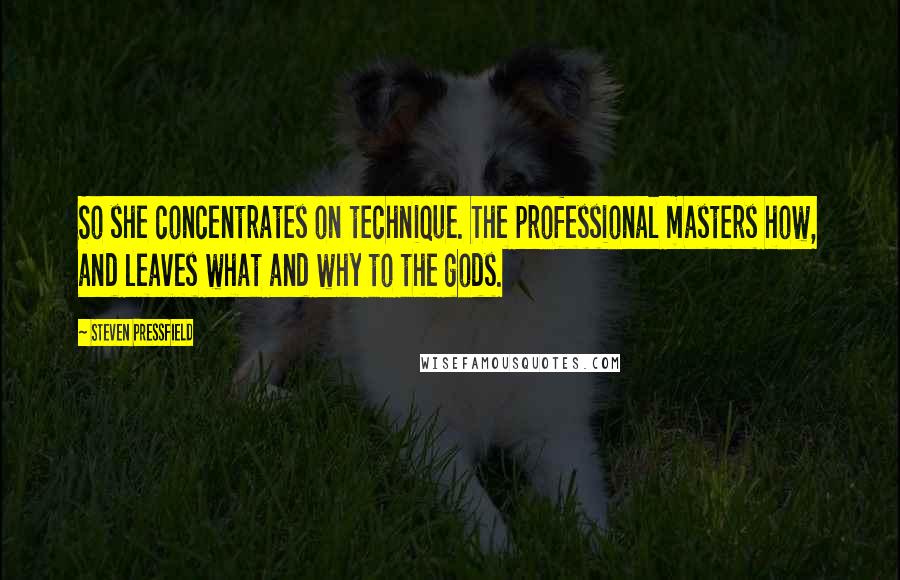 Steven Pressfield Quotes: So she concentrates on technique. The professional masters how, and leaves what and why to the gods.