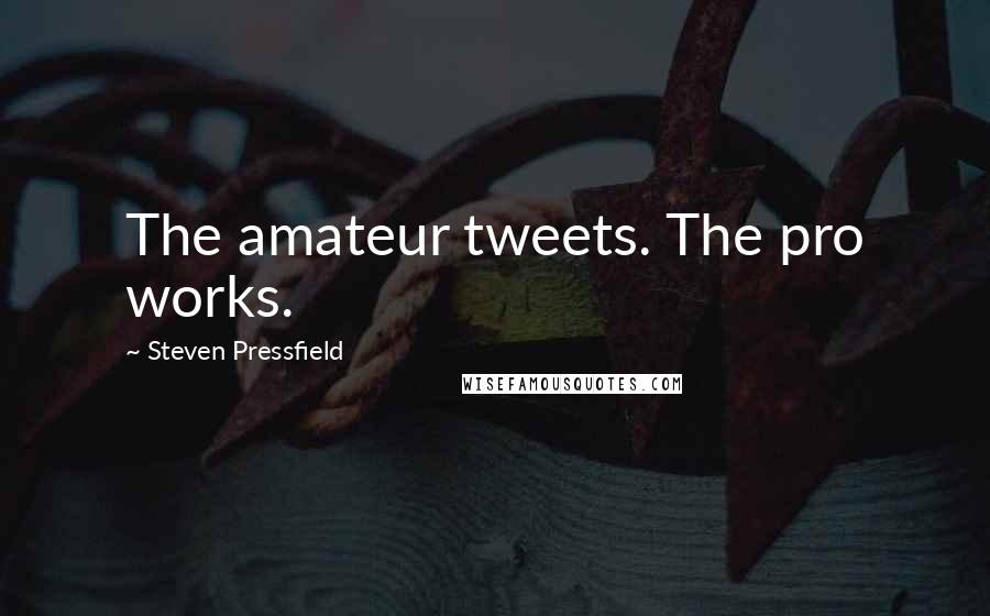 Steven Pressfield Quotes: The amateur tweets. The pro works.