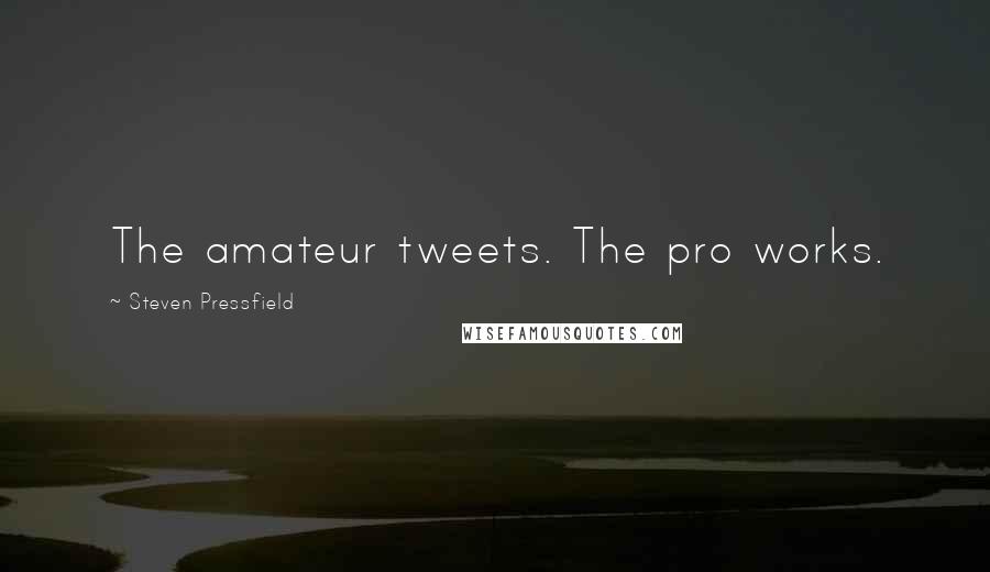 Steven Pressfield Quotes: The amateur tweets. The pro works.