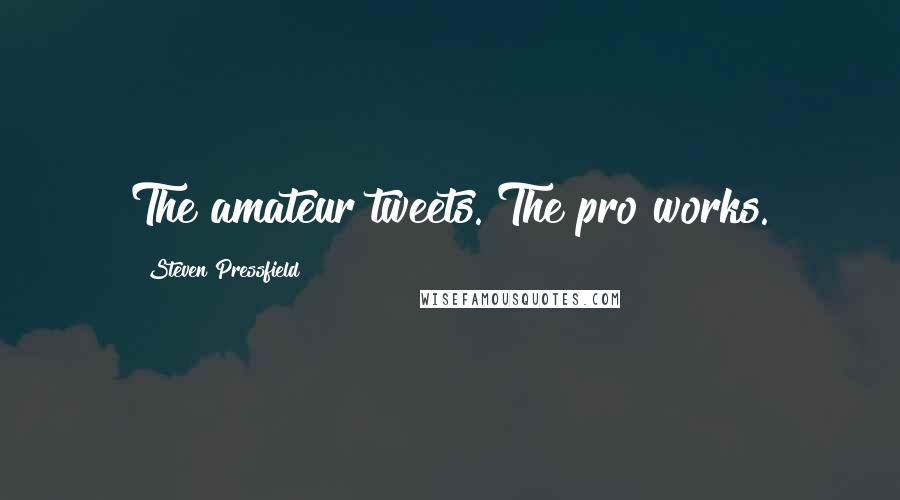 Steven Pressfield Quotes: The amateur tweets. The pro works.