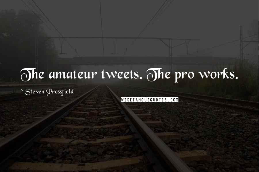 Steven Pressfield Quotes: The amateur tweets. The pro works.