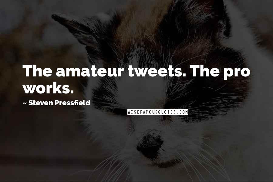 Steven Pressfield Quotes: The amateur tweets. The pro works.