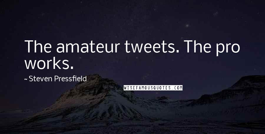 Steven Pressfield Quotes: The amateur tweets. The pro works.
