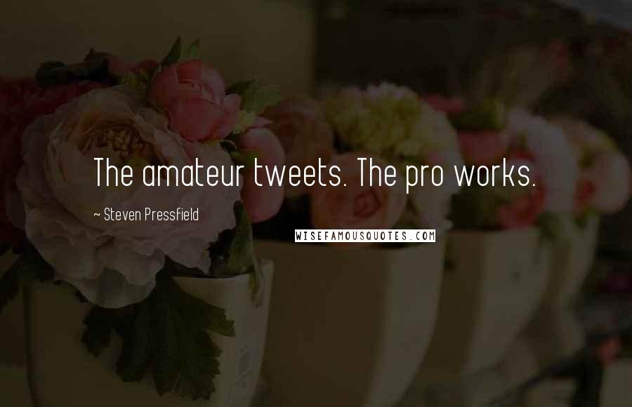 Steven Pressfield Quotes: The amateur tweets. The pro works.