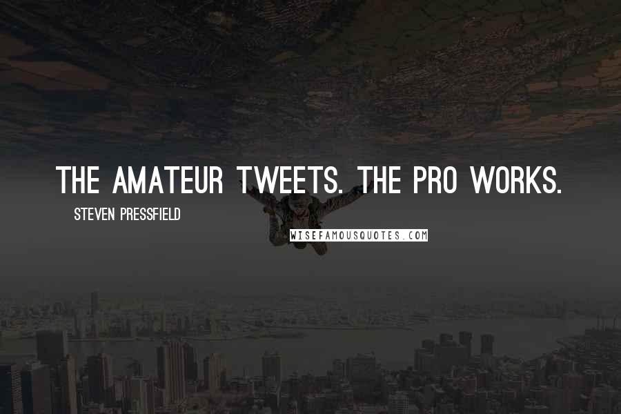 Steven Pressfield Quotes: The amateur tweets. The pro works.