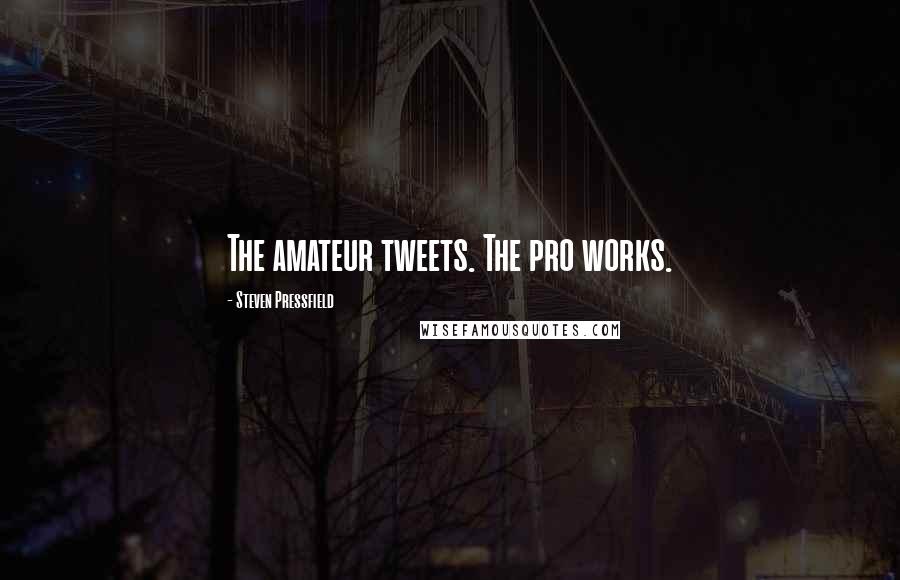 Steven Pressfield Quotes: The amateur tweets. The pro works.