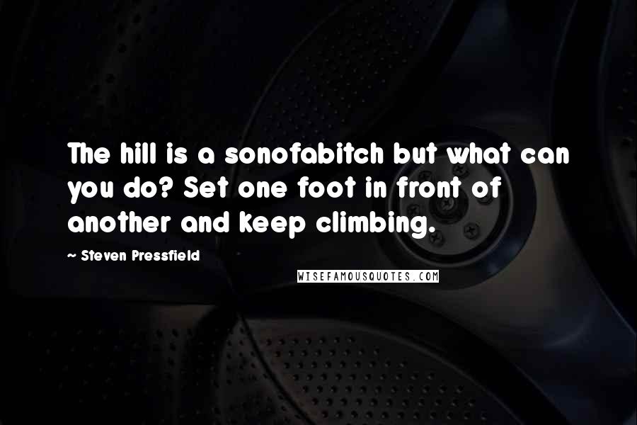 Steven Pressfield Quotes: The hill is a sonofabitch but what can you do? Set one foot in front of another and keep climbing.