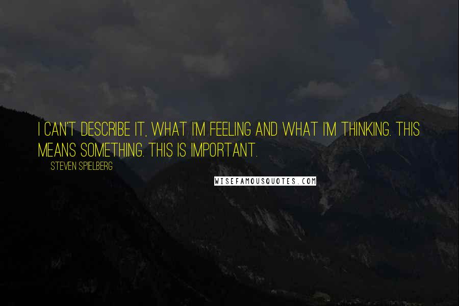 Steven Spielberg Quotes: I can't describe it, what I'm feeling and what I'm thinking. This means something. This is important.