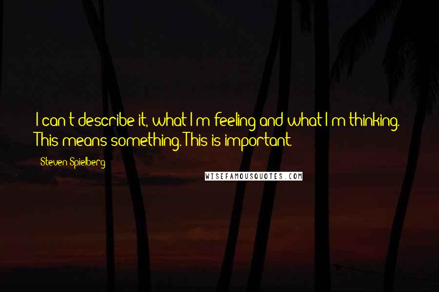 Steven Spielberg Quotes: I can't describe it, what I'm feeling and what I'm thinking. This means something. This is important.