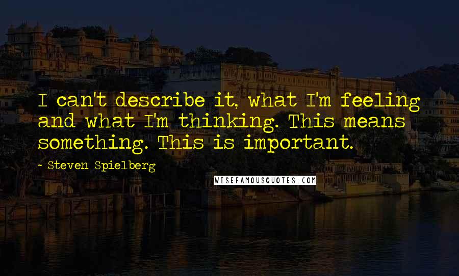 Steven Spielberg Quotes: I can't describe it, what I'm feeling and what I'm thinking. This means something. This is important.