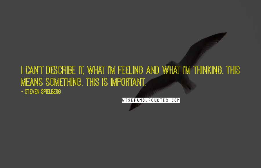 Steven Spielberg Quotes: I can't describe it, what I'm feeling and what I'm thinking. This means something. This is important.