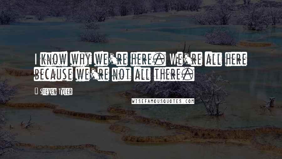 Steven Tyler Quotes: I know why we're here. We're all here because we're not all there.