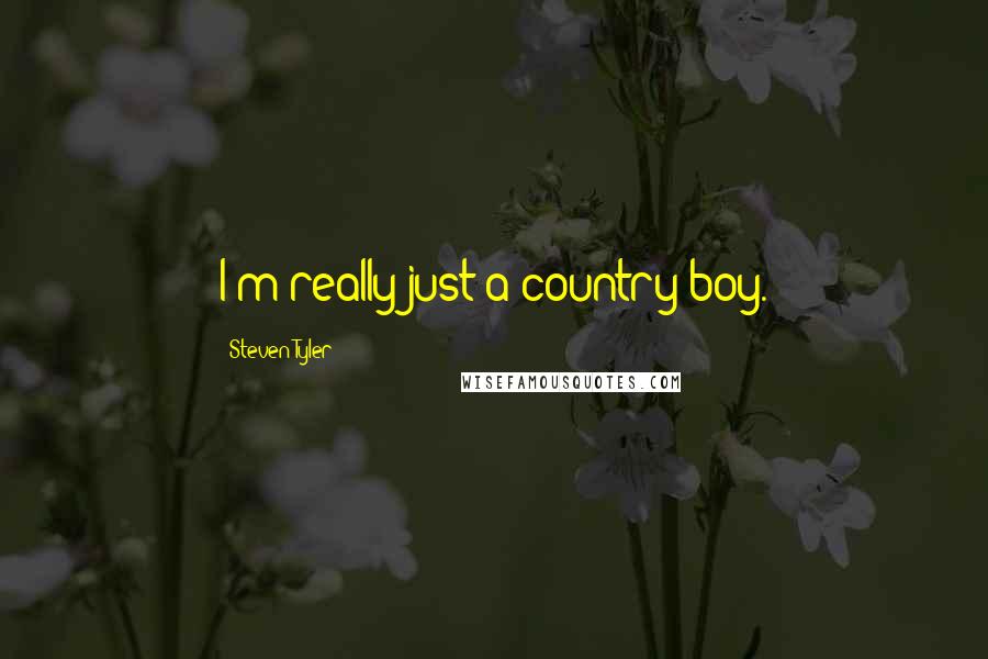 Steven Tyler Quotes: I'm really just a country boy.