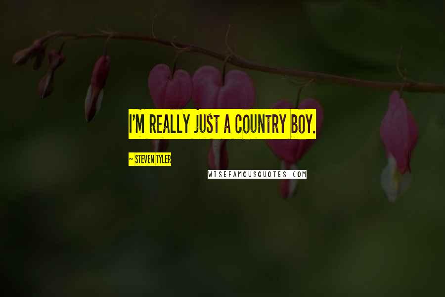 Steven Tyler Quotes: I'm really just a country boy.