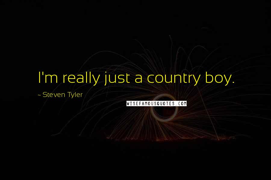 Steven Tyler Quotes: I'm really just a country boy.